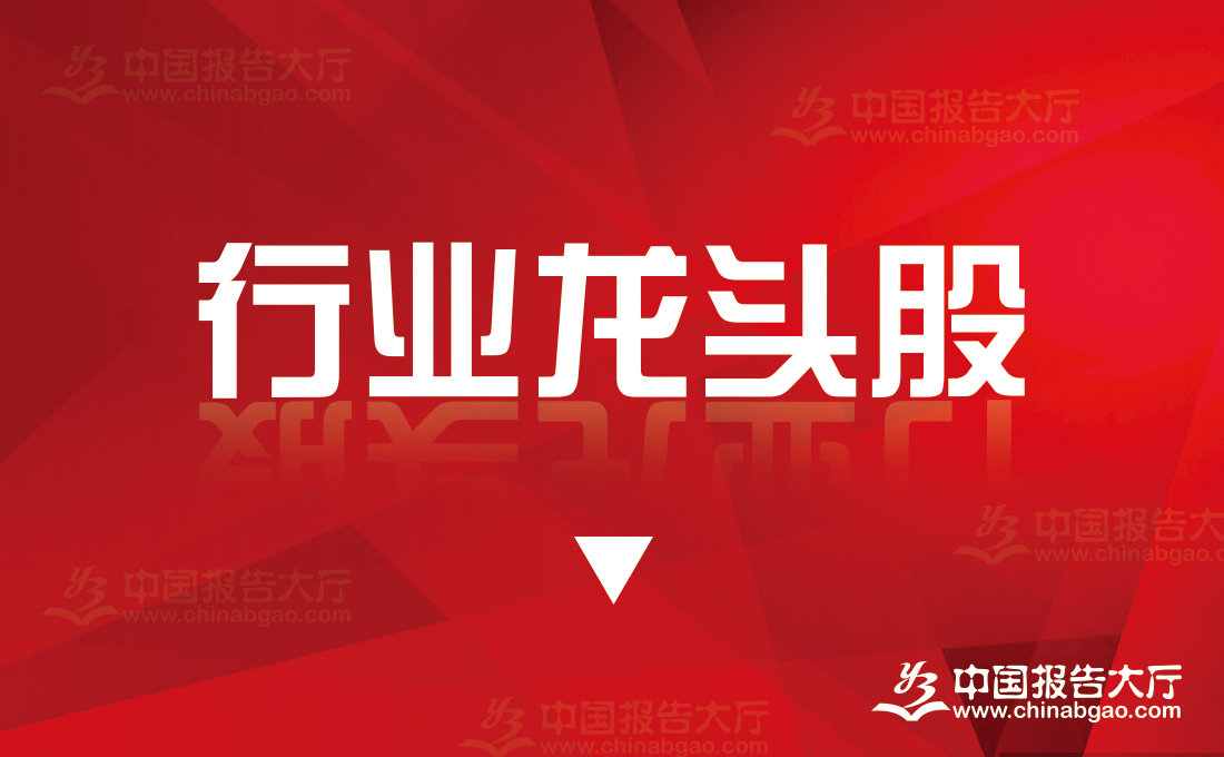 2024年存儲晶片概念龍頭股一覽表（存儲晶片概念龍頭）