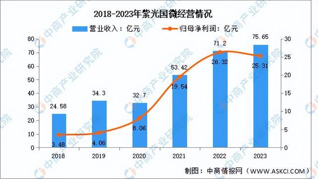 PG电子网站：2024年中国芯片设计行业市场前景预测研究报告（简版）(图7)