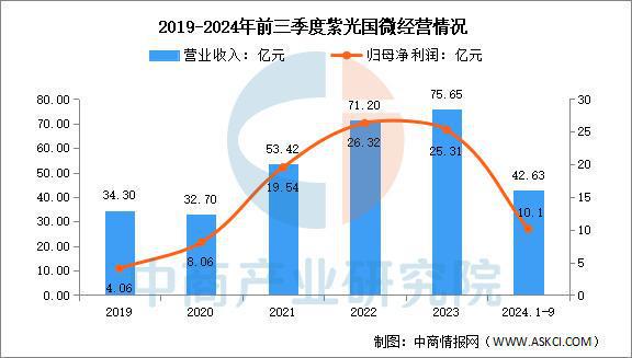 2025年中国存储芯片行业市场前景预测研究报告（简版）(图4)