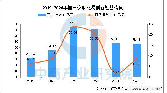 2025年中国存储芯片行业市场前景预测研究报告（简版）(图9)