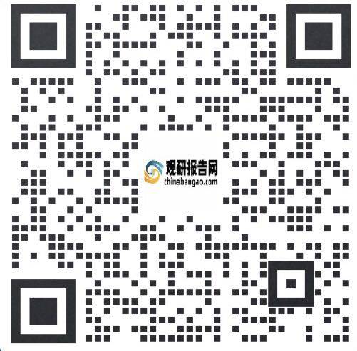 中国存储芯片行业现状深度研究与投资前景预测报告（2024-2031年）(图2)