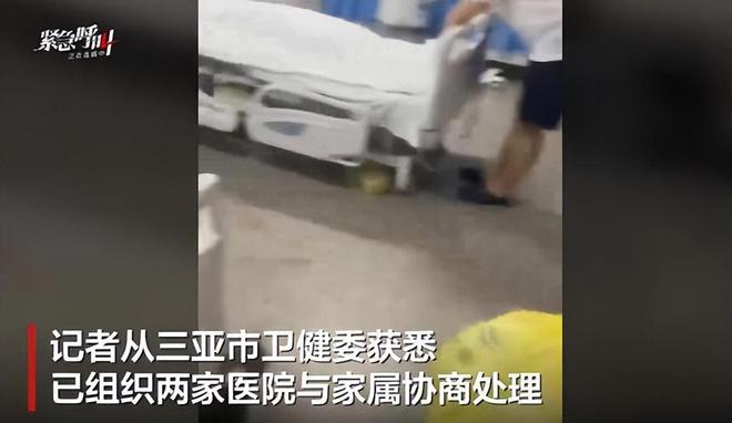 27岁女游客被蛇咬身亡！身材超好是家中独生女肤白貌美太可惜(图15)