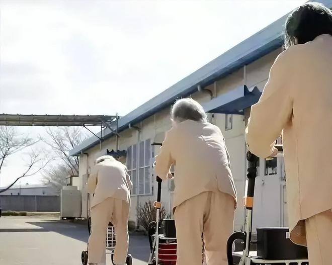 PG电子网站：日本老人抢着进监狱养老偷车只为住牢房背后真相令人震惊(图3)