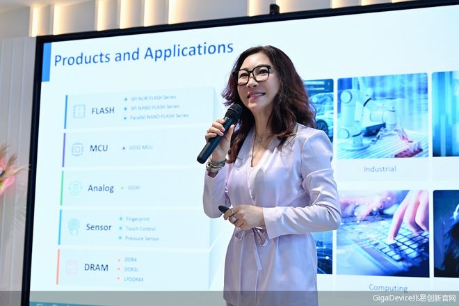 国产替代浪潮中的隐形冠军④兆易创新：“存储一哥”下南洋(图2)