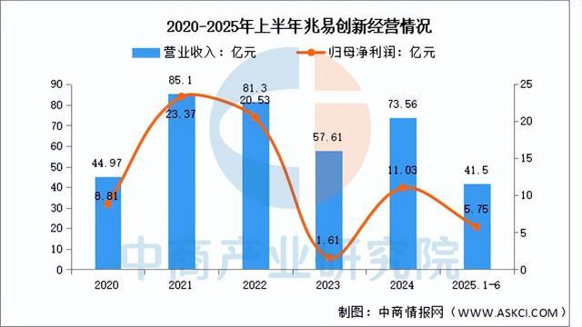 2025年中国DRAM行业市场前景预测研究报告(图10)