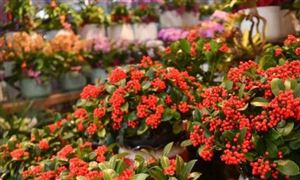 存储器产业发展分析与新兴技术：2024年AI+存储器的迭代变革(图2)